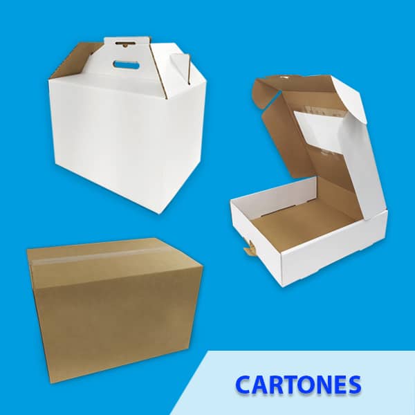 Cartón